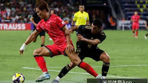 五大联赛数据深度分析，球迷互动升级